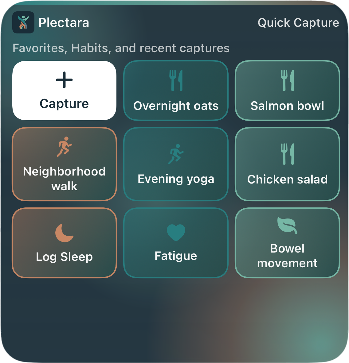 Large widget — capture actions
